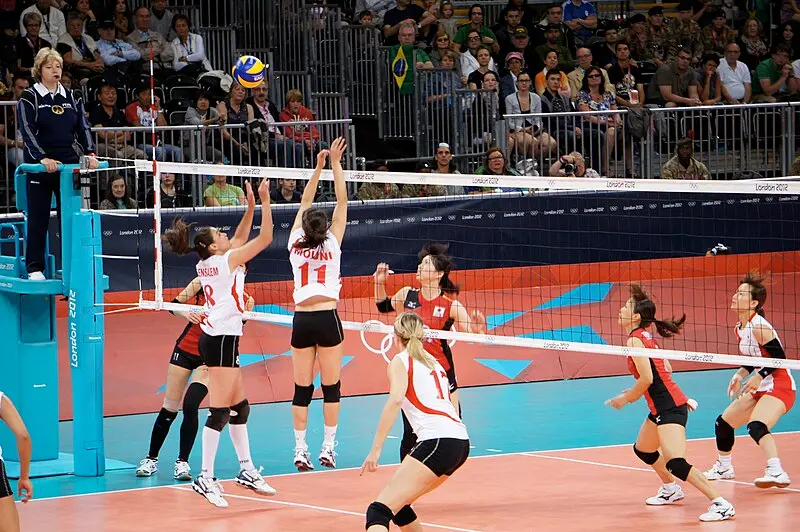 Live volleyball betting